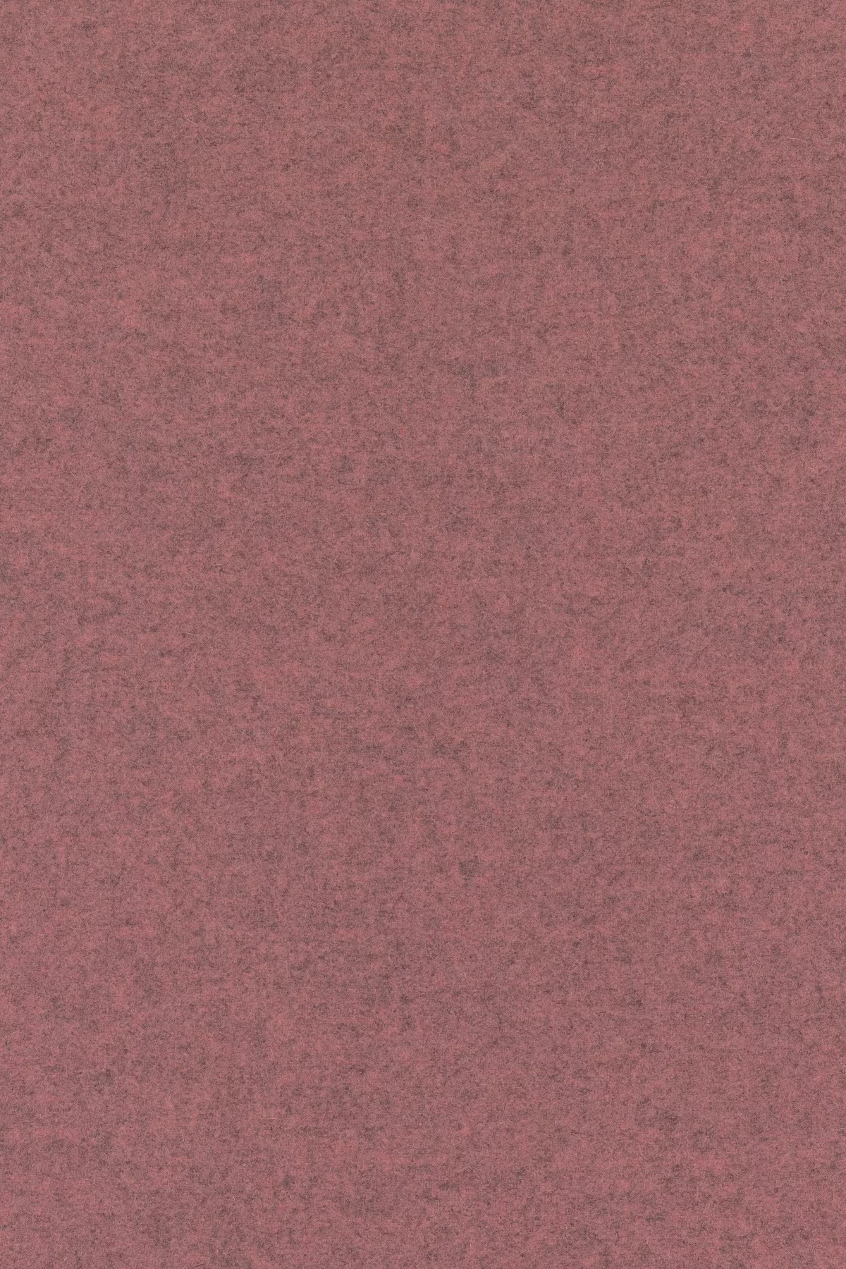 Divina melange 3, 617